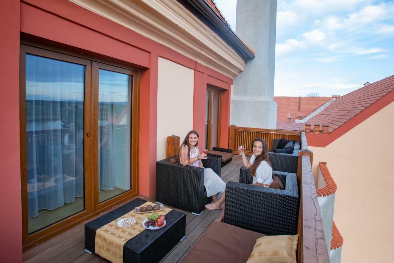 Residence Safari Resort - Chateau Borovany  Exterior photo